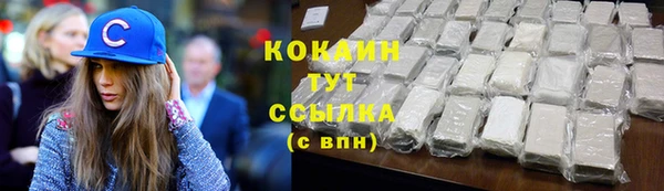 шишки Сосновоборск