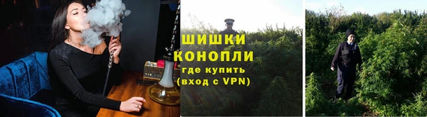 стаф Белокуриха