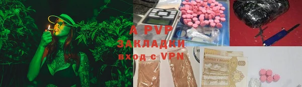 стаф Белокуриха