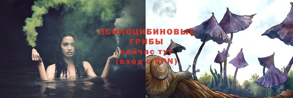 a pvp Белоозёрский
