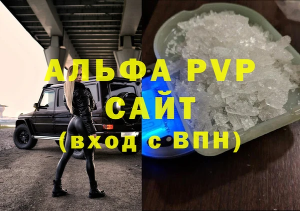 стаф Белокуриха