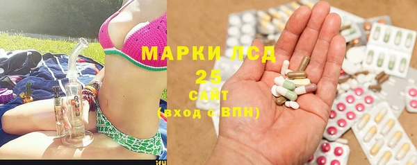 стаф Беломорск