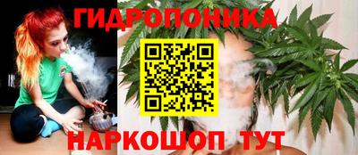 мдпв Пенза