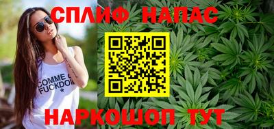 мдпв Пенза
