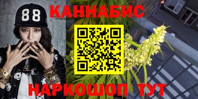 мдпв Пенза