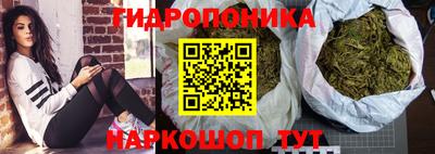 мдпв Пенза