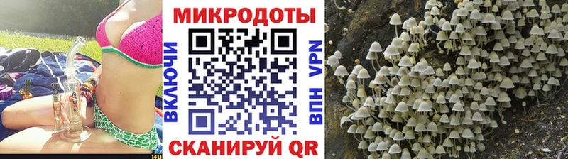 Псилоцибиновые грибы MAGIC MUSHROOMS  закладки  Дальнегорск 