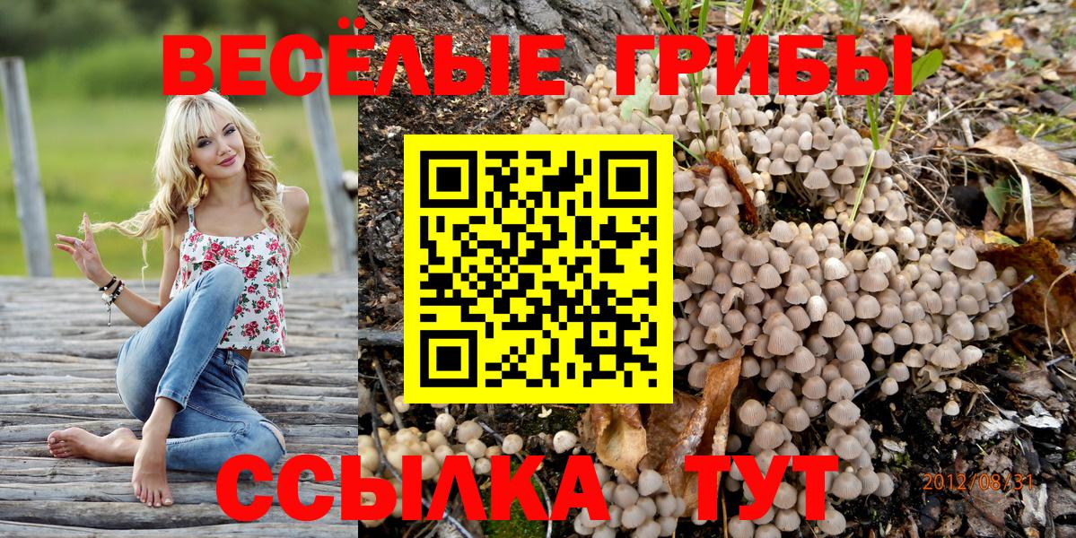 Дальнегорск  Галлюциногенные грибы мицелий  Вход с VPN  наркошоп  Псилоцибиновые грибы Magic Shrooms 